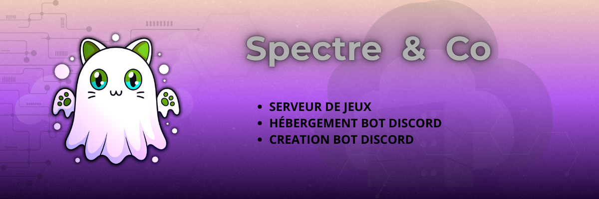 Bannière Spectre & Co